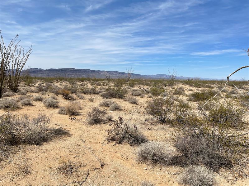 Buy Yucca Land Now : Yucca : Mohave County : Arizona