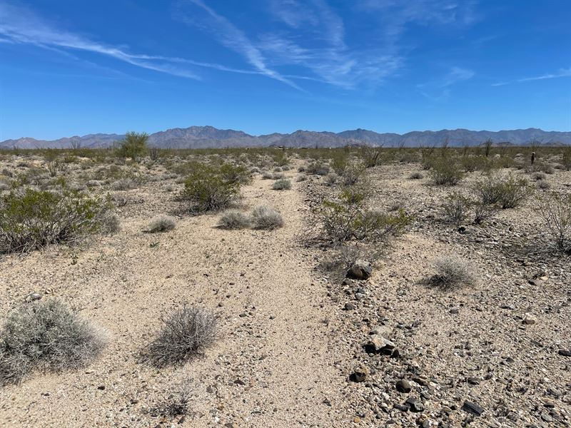 Buy with Instant Equity : Yucca : Mohave County : Arizona