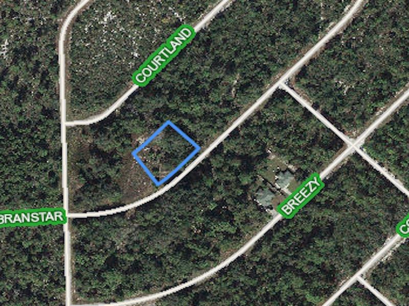 Peaceful Oversized Homesite : Lake Placid : Highlands County : Florida