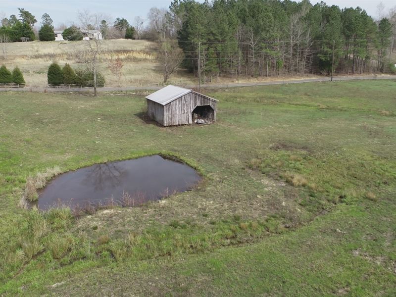 Mini Farm, Pond, Barn : Ashville : Saint Clair County : Alabama