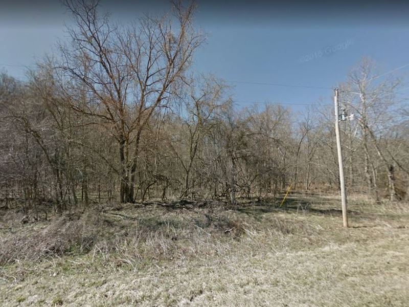 Reconnect with Nature on 0.26 Acres : Bella Vista : Benton County : Arkansas