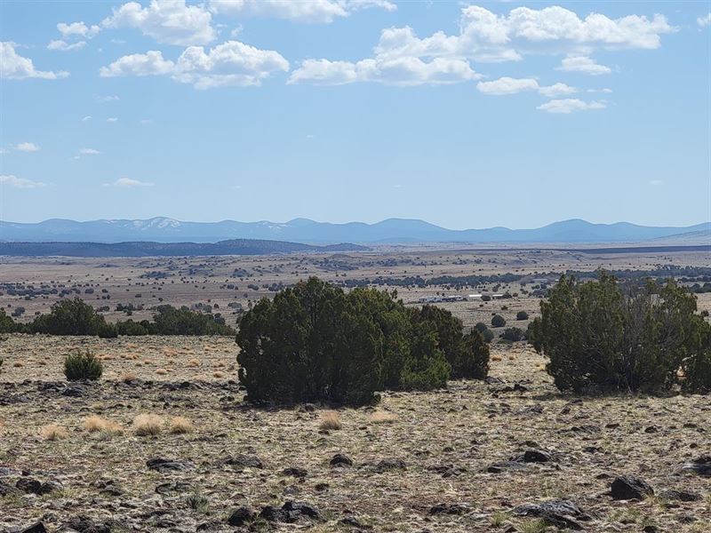 A Small Lot with Highlands Views : Concho : Apache County : Arizona