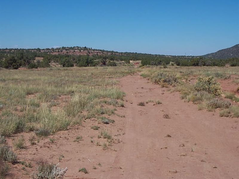 1.17 Acre in Navajo County, AZ : Snowflake : Navajo County : Arizona