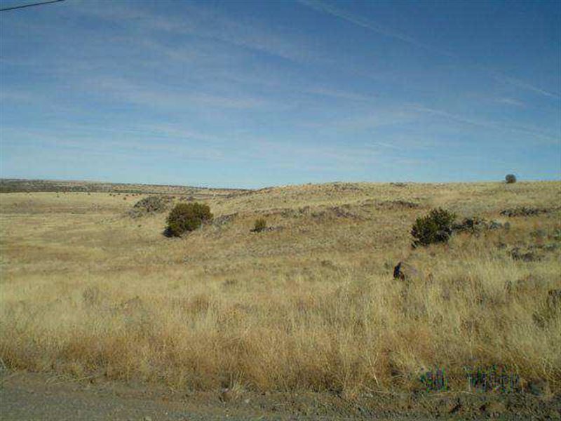 .25 Acre in Apache County, AZ : Concho : Apache County : Arizona