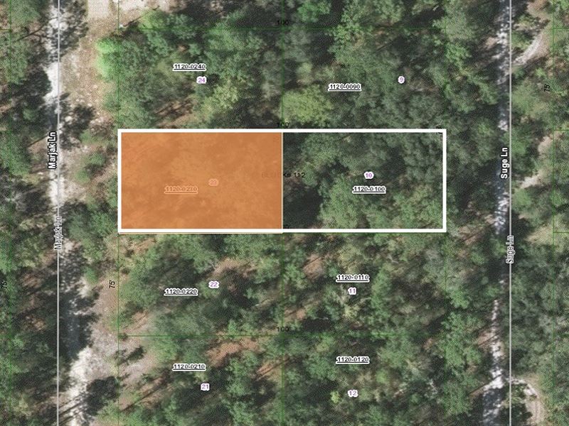 R-2 Zoned Double Lot Package : Florahome : Putnam County : Florida