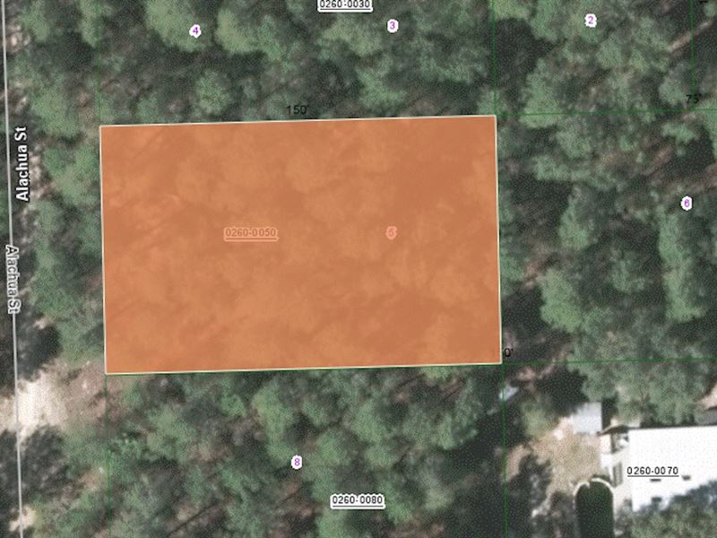 Affordable Large Lot in Florahome : Florahome : Putnam County : Florida