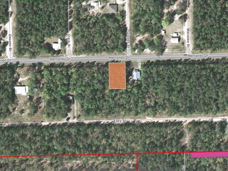 Lovely Lot Near George's Lake : Florahome : Putnam County : Florida