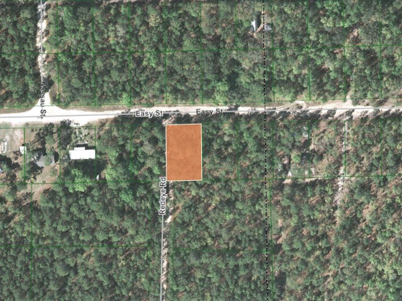 Quiet Corner Lot Minutes From Lake : Florahome : Putnam County : Florida