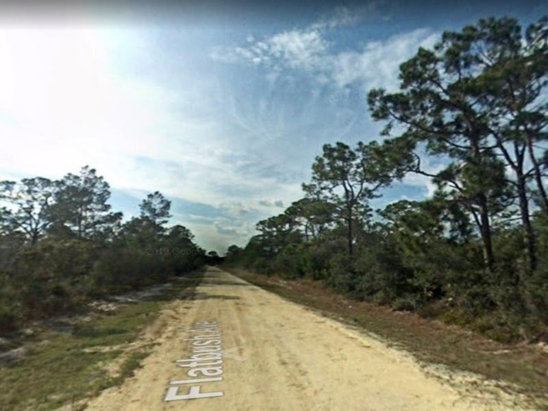 .46 Acre in Lake Placid Awaits You : Lake Placid : Highlands County : Florida