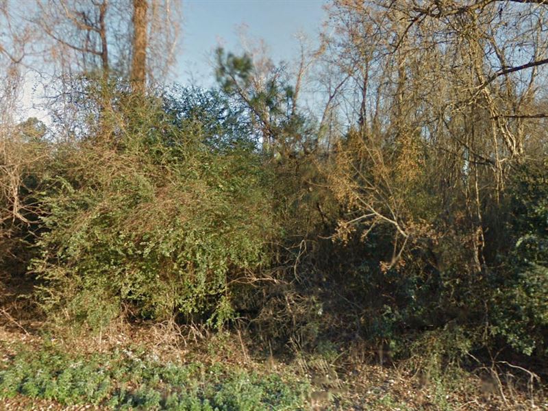 .21 Acre in Bladen County, NC : Butters : Bladen County : North Carolina