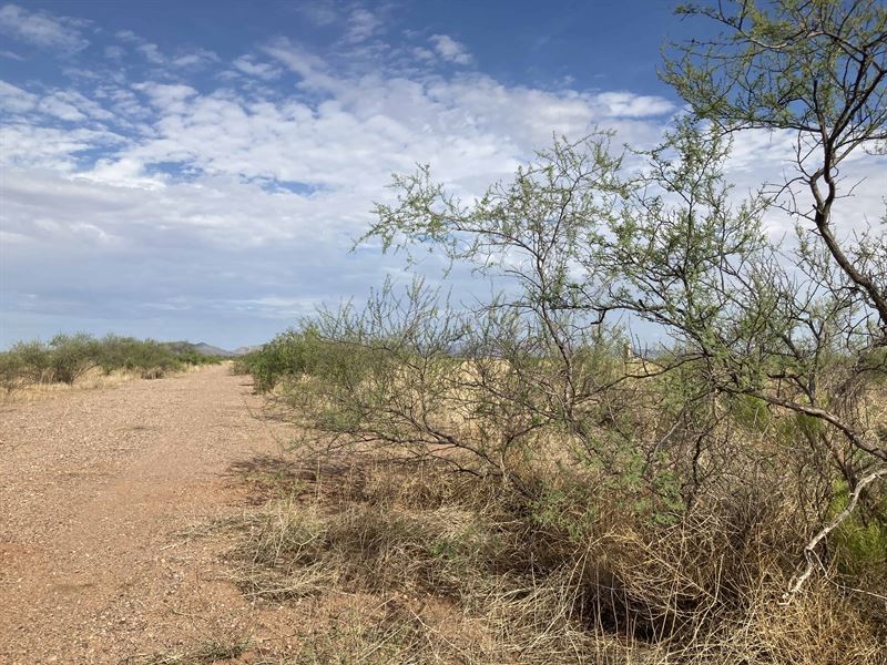 4 Acres, $350 Down, Owner Financing : Douglas : Cochise County : Arizona