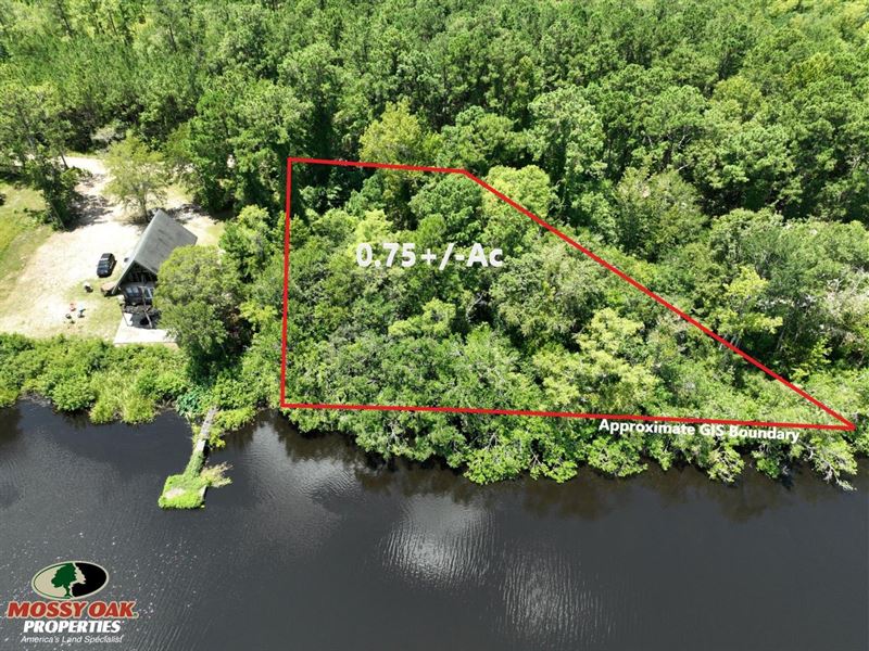 .75 Ac River Lot on Satilla Riv : Folkston : Camden County : Georgia