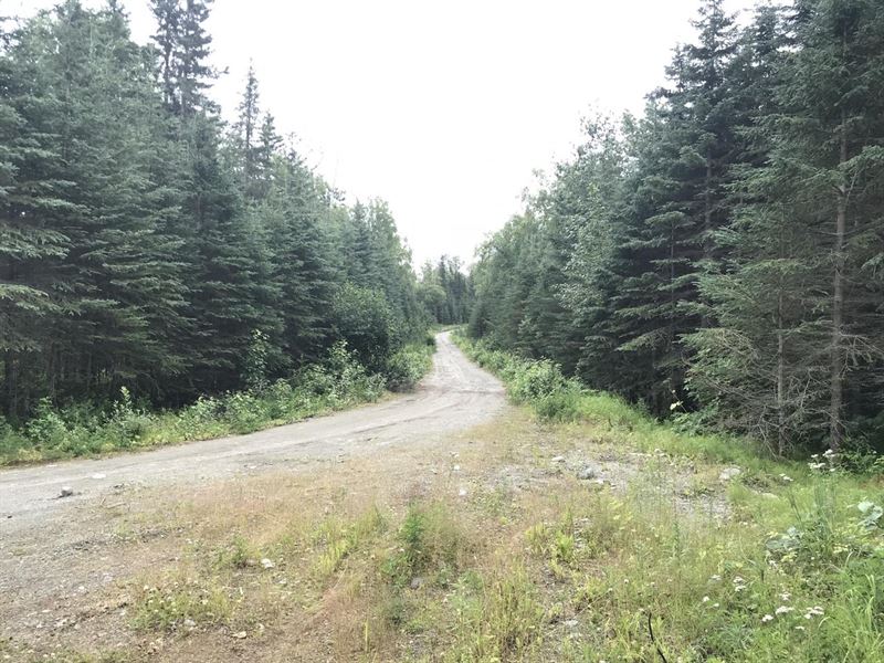 Agate Beach Subdivision : Nikiski : Kenai Peninsula Borough : Alaska