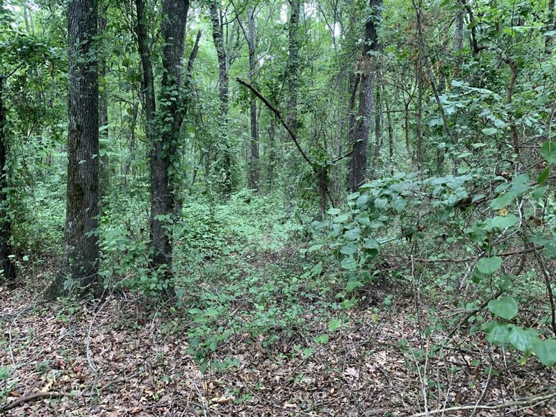 9.36 Acres South Gilliam Road : Searcy : White County : Arkansas