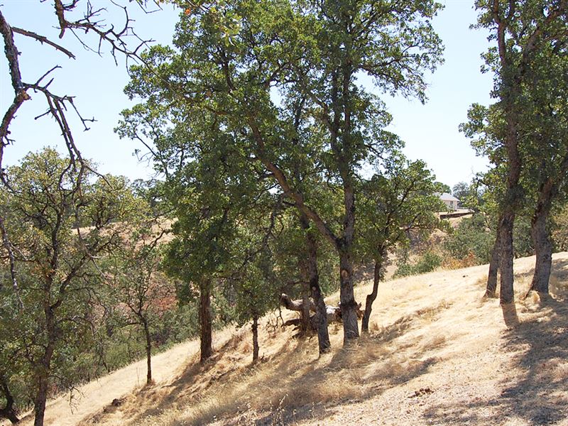 .30 Acre in Tehama County, CA : Cottonwood : Tehama County : California