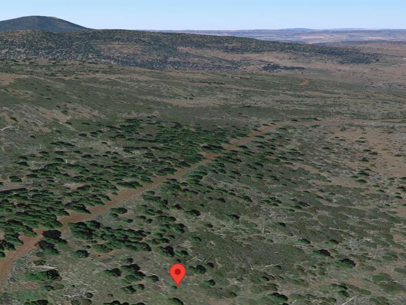 Create Insane Memories on 0.93 Acre : Christensen : Modoc County : California