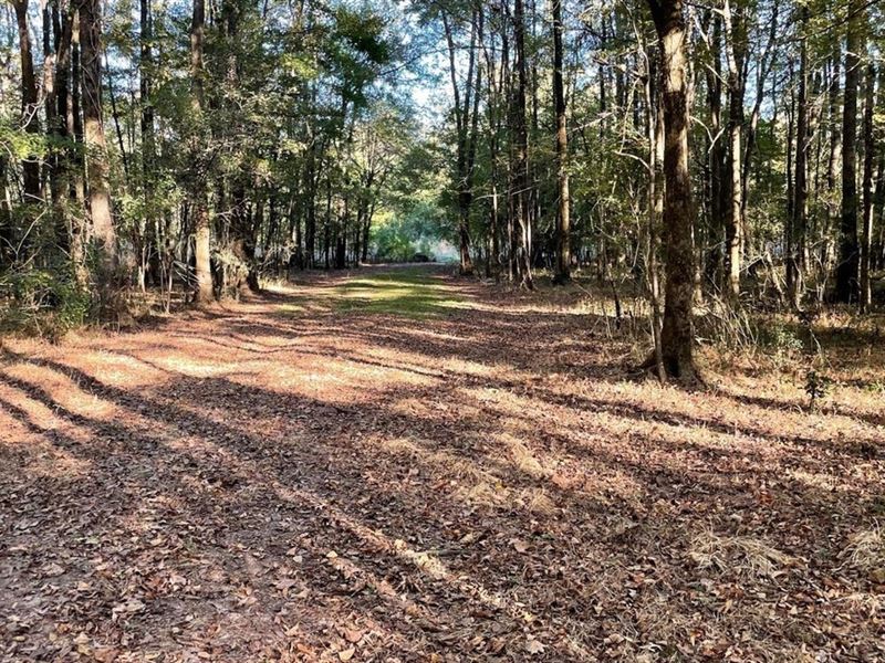 8.3 Acres Residential Land/Lot : Clinton : Hinds County : Mississippi