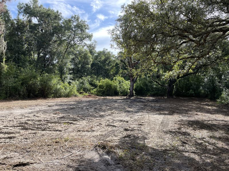 12.3 Acres with River Frontage : Webster : Hernando County : Florida