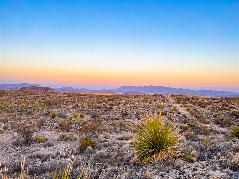 Just Over The Border From Mexico : Terlingua : Brewster County : Texas