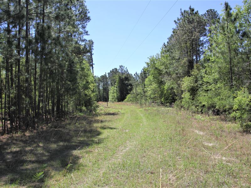 Beautiful Lot on 7 Acre Lake : Eastman : Dodge County : Georgia