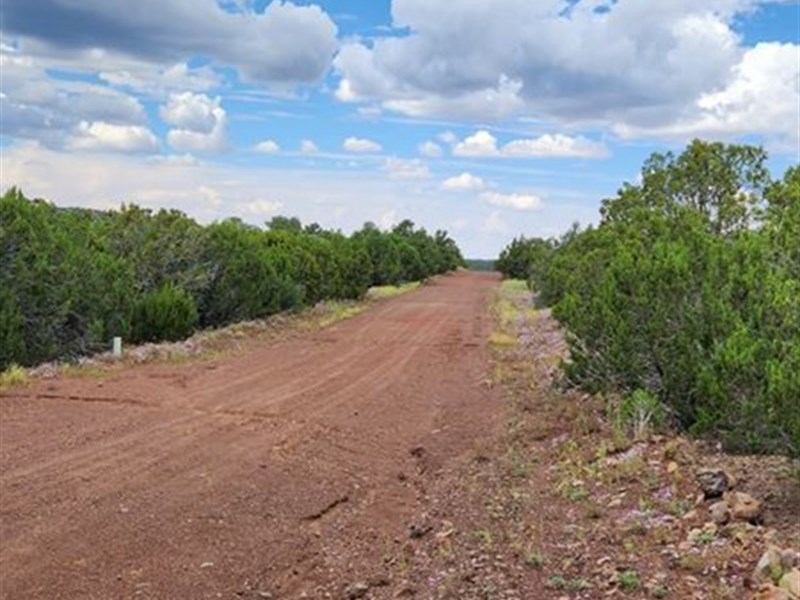 Power Nearby, RV Friendly Lot : Vernon : Apache County : Arizona