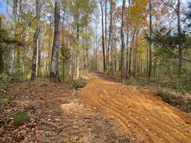 Great Wooded Home Site : Odenville : Saint Clair County : Alabama