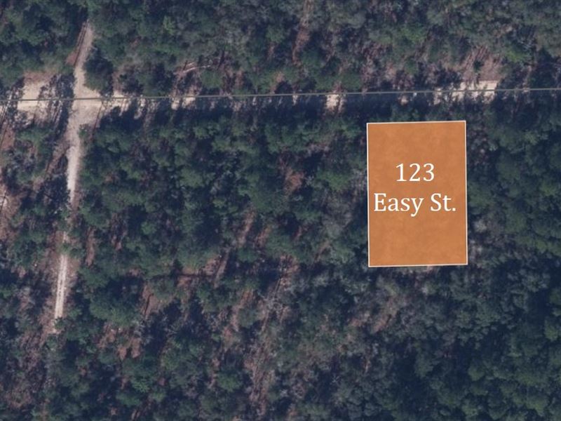 123 Easy Street Awaits : Florahome : Putnam County : Florida