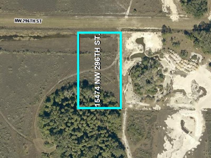 Cash Sale Land for Small Homestead : Okeechobee : Okeechobee County : Florida