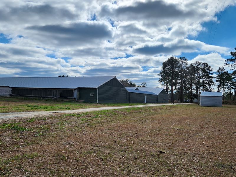 Breeder Farm with Single House : Nashville : Berrien County : Georgia