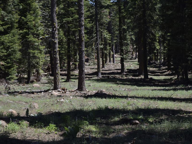 Easy Financing : Alturas : Modoc County : California