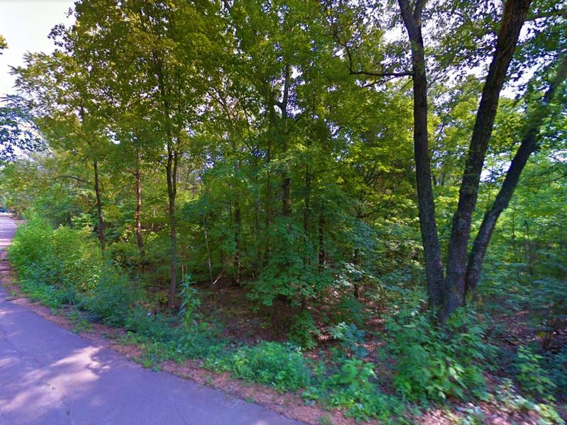 .28 Acre in Irondale, $250/Mo : Irondale : Washington County : Missouri