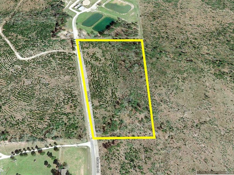 11 Acres, Wallace Road : Huntsville : Walker County : Texas