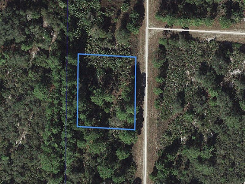 Double Lot in Lake Community : Lake Placid : Highlands County : Florida