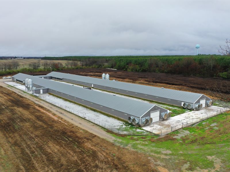 Reduced, Williams Breeder Farm : Leoma : Lawrence County : Tennessee