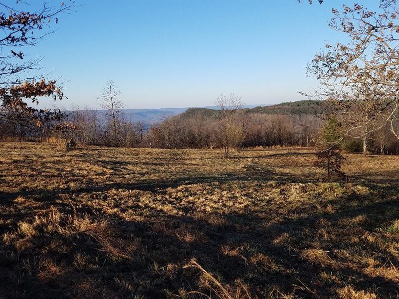 Panoramic View Bluff Lots : Dunlap : Sequatchie County : Tennessee