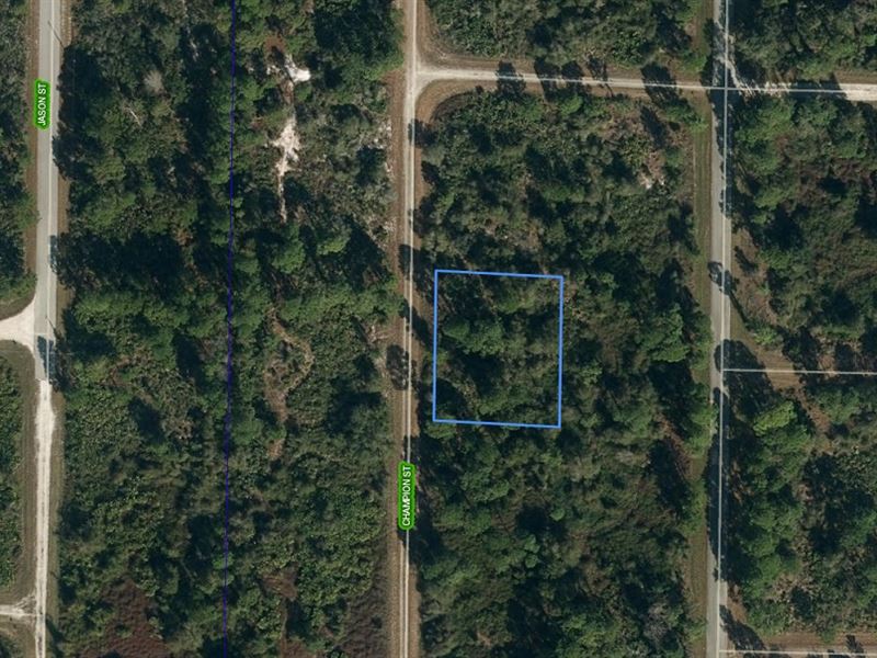 Leisure Lake Double Lot : Lake Placid : Highlands County : Florida