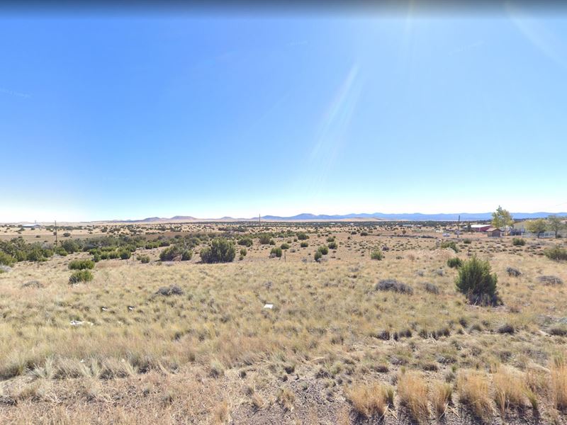 1 Acre in Concho, $200/Mo : Concho : Apache County : Arizona