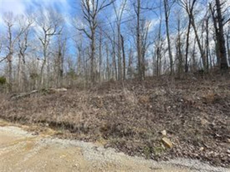 Investment Opportunity, Double Lots : Williford : Sharp County : Arkansas