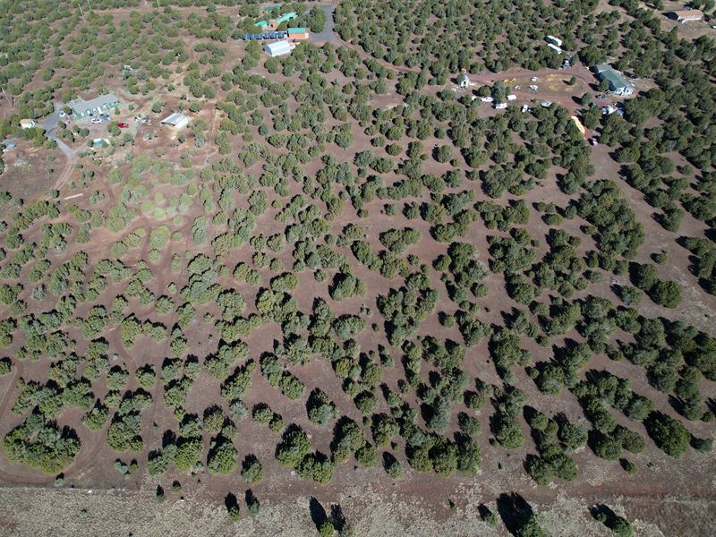 Residential Lot Beside Us-60 : Vernon : Apache County : Arizona