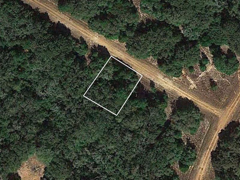 Residential Lot in Hilltop Lakes : Hilltop Lakes : Leon County : Texas