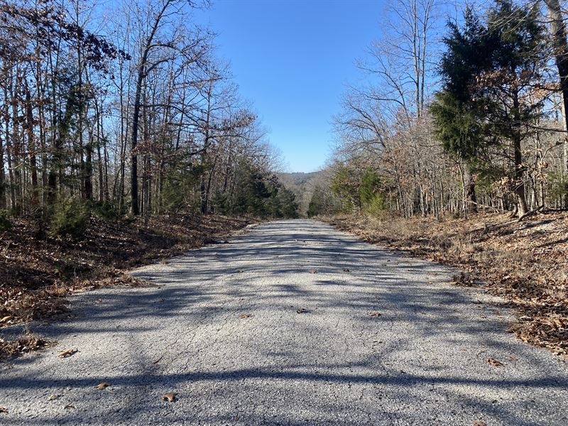 Off-Grid Living by Horse Trails : Horseshoe Bend : Izard County : Arkansas