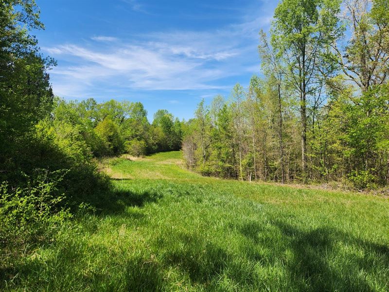 9.28Ac, 4060 Robinson Rd Newto : Newton : Catawba County : North Carolina