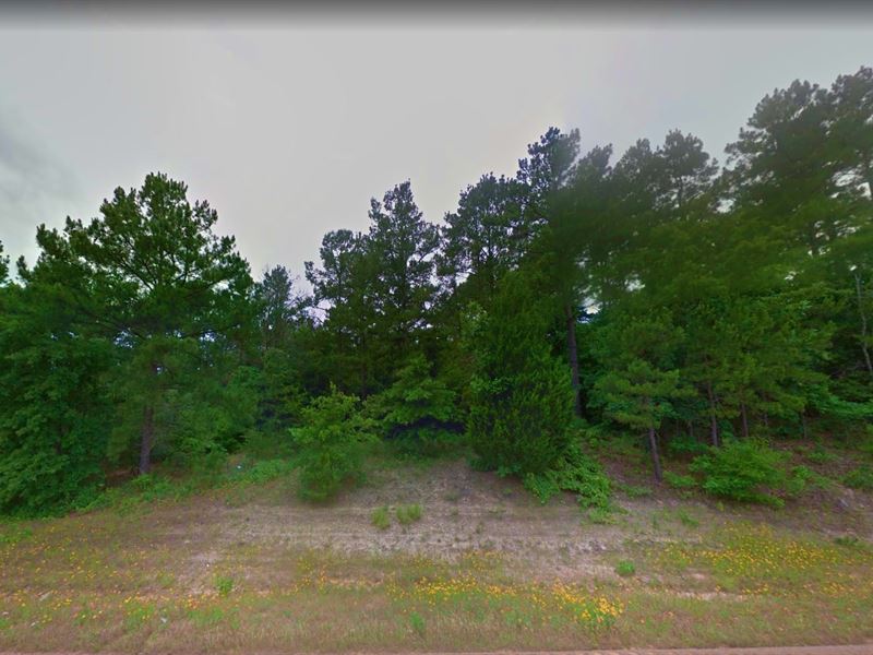 .36 Acre in Crockett, $400/Month : Crockett : Houston County : Texas