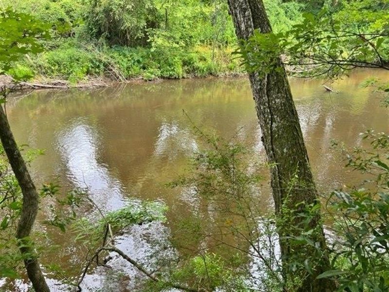 4 Acres Of Magee's Creek Frontage : Tylertown : Walthall County : Mississippi