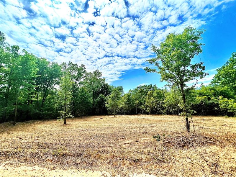 Excellent Homesite : Oglethorpe : Macon County : Georgia