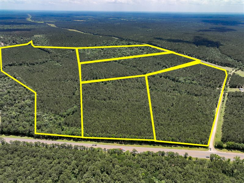 14 Acres, T-2 Highway 190 : Oakhurst : San Jacinto County : Texas