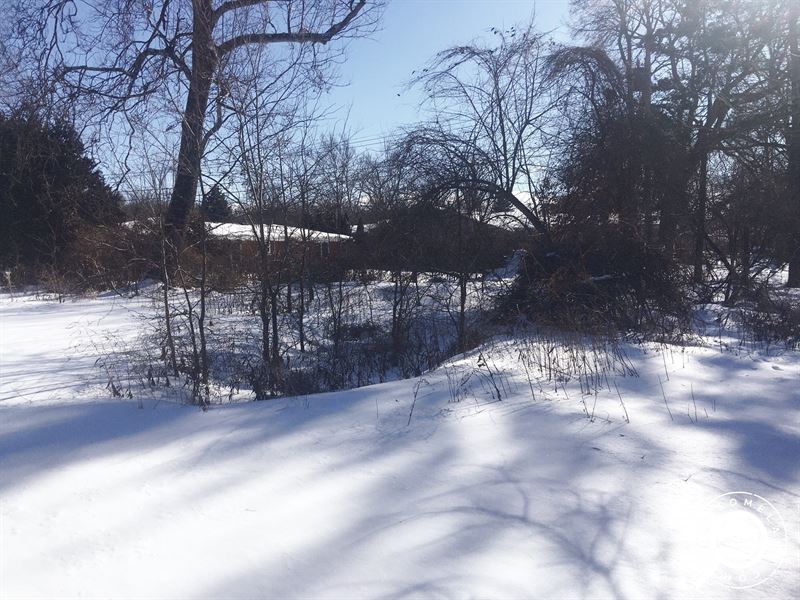 .24 Acre Lot Close to The River : South Bend : Saint Joseph County : Indiana