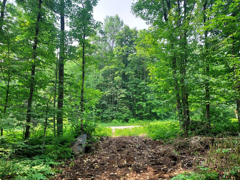 2 Acres by National Forest & Trails : Laona : Forest County : Wisconsin