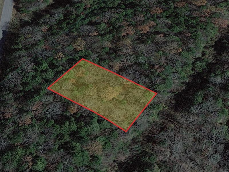 .31 Ac Izard County, Ar, $49 Down : Horseshoe Bend : Izard County : Arkansas