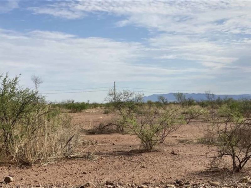 Beautiful 2.3 Acres of Land : Douglas : Cochise County : Arizona